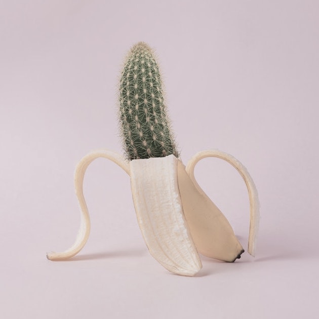 11. NASLEDOVAŤ PRAVDU, ODMIETAŤ LOŽ