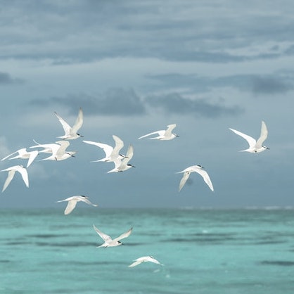 10. BYŤ ČLOVEKOM, AKÝM NÁS BOH STVORIL