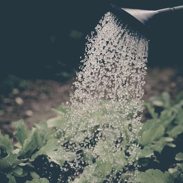 16. UČIŤ SA HOVORIŤ SLOVÁ PRINÁŠAJÚCE ŽIVOT