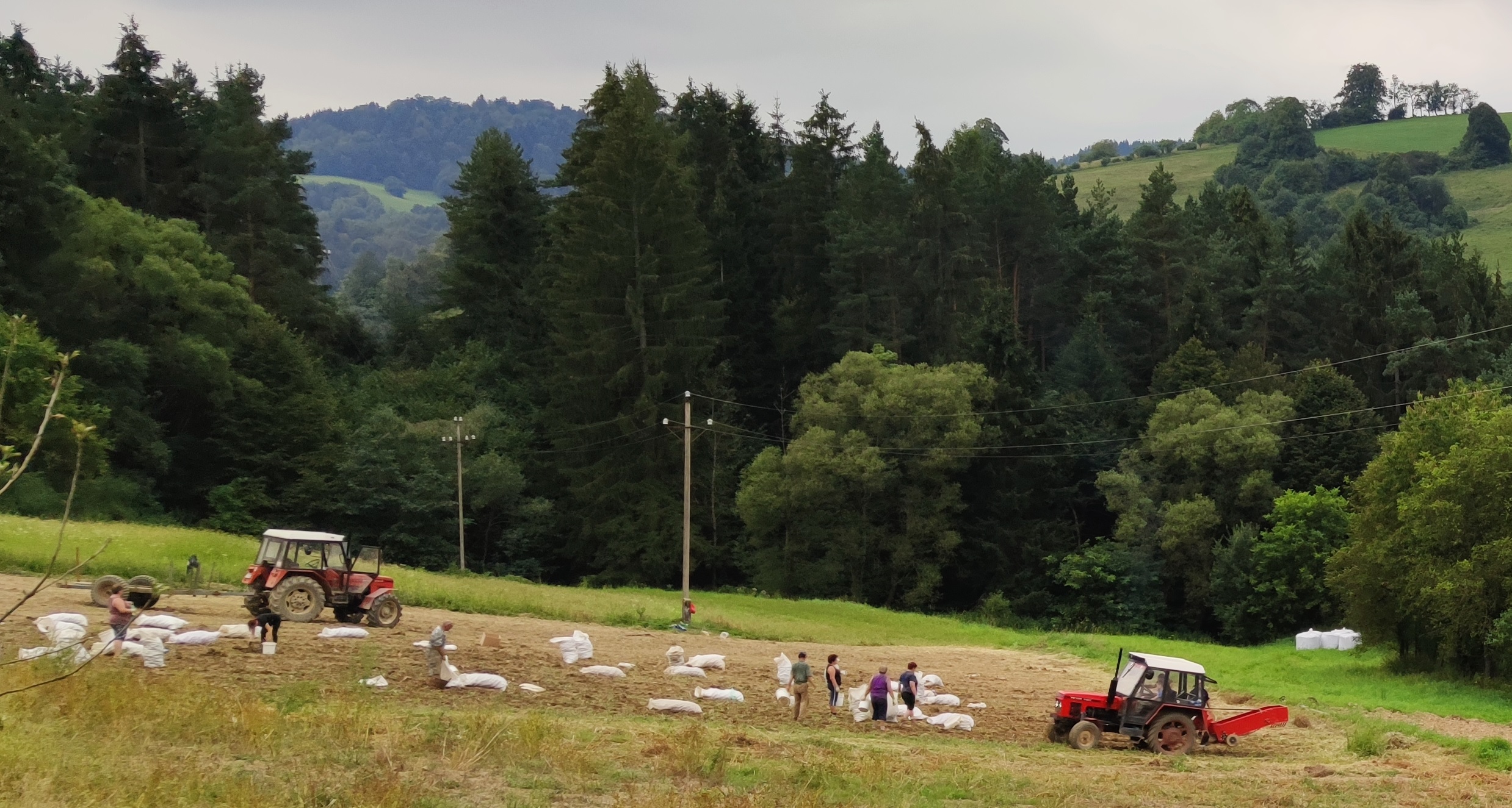 Vízia komunity na školský rok 2020/21